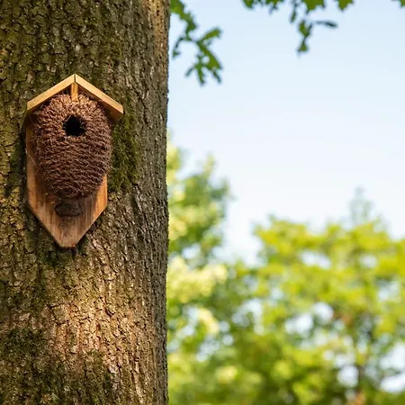 Chalet Nature Hideout At Veluwe Nature Park Putten