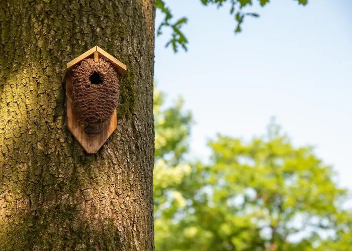 Шале Nature Hideout At Veluwe Nature Park Пюттен
